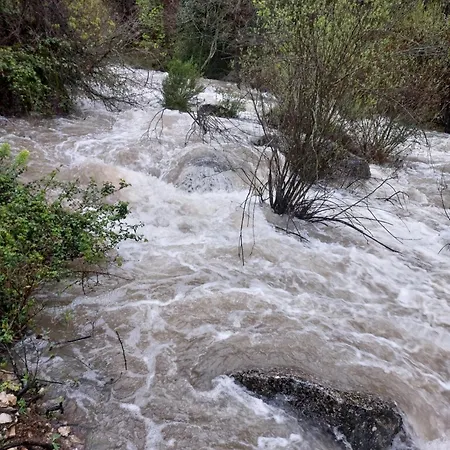 Crisalen Cazorla